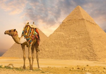 Cairo Day Tour from Port Said