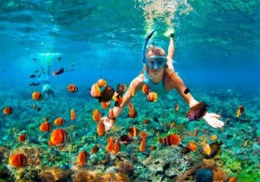 Diving and Snorkeling Trip in Ras Mohamed from Sharm