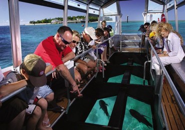 Glass Bottom Boat Tour in Dahab